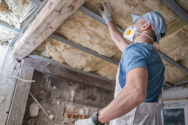 Best Insulation Maintenance and Repair in Sparta, GA
